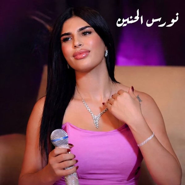 نورس الحنين